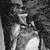:iconthelivingkey: