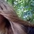 :iconthelivingriver: