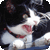 :iconthelivingrobot: