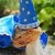 :iconthelizardwizard: