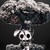 :iconthelol509: