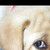 :iconthelonelyautomaton: