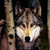 :iconthelonelyblitz: