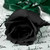 :iconthelonewriter: