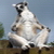 :icontheloststarfighter: