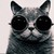 :iconthelovecats-1:
