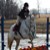 :icontheloveforhorses: