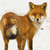 :iconthelovelywinter: