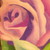 :icontheloyal99: