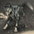 :iconthelurkingwolf: