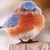 :iconthemadbluebird: