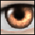 :iconthemadraven: