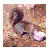 :iconthemagnificentmeg: