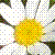 :iconthemaid: