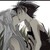 :iconthemaidenraven: