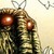 :iconthemanthing88: