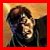 :iconthemasterplanner87: