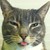 :iconthemermaidchick: