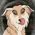 :iconthemessyartist: