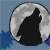 :iconthemidnightwolfclan: