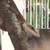 TheMojo13IsAmazing :iconthemojo13isamazing: