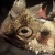 :iconthemolok: