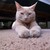 :iconthemonsteryoucreated: