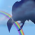 :iconthemoonsraven: