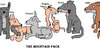 :iconthemountainpack: