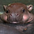 :iconthemysteriouse:
