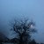 :iconthemysteriousgirl007: