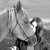 :iconthemysticfields: