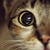 :iconthenamer: