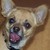 :iconthenanna: