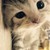 :icontheneoncake1000: