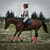 :iconthenessiak: