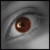 :iconthenetbox:
