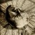 :icontheninthcirclestudio: