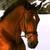 :iconthenorthgirl: