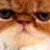 :iconthenothingcomes:
