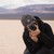 :iconthenovicepicture: