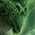 :iconthenynthdragon: