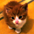 :icontheo1234: