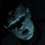 :icontheofficialrlee: