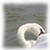 :icontheoneway: