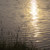 :icontheonewholoves2draw: