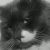 :icontheonewizrobe: