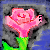 :icontheotherowl: