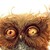 :icontheowlsarewatching: