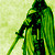 :iconthepaladinofshadows: